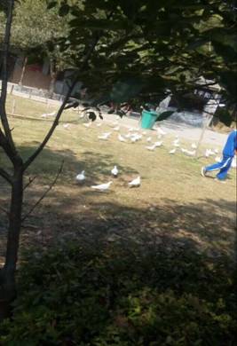 QQͼƬ20151023154130.jpg